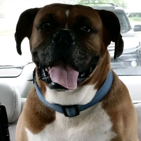 Meet your Posher, Chris - Picture 1 of 1